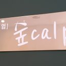 숲CALP
