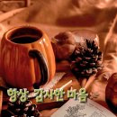 수지상사 이미지