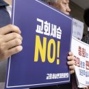 지성정판