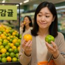 빛과당신 | 초록색 귤, 먹어도 될까? 후숙·배탈 논란 끝—제주 8.5브릭스가 답