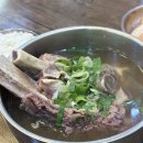 🍖계양역 풍차설렁탕 왕갈비탕 솔직 후기! 뜨끈한 국물에 푹 빠진 하루