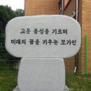 [박동희의 야구탐사] 시골학교 야구부의 기적과 비극 (퍼온글) 이미지