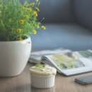 대림행정사 이미지