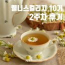 만다라와 색채명상 | 10기 2주차 후기 - 마음챙김 명상, MSC 마음챙김 자기연민, 색채명상, 마인드풀 셀프리더십, 차 명상