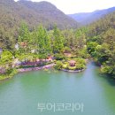 국립희리산해송자연휴양림 이미지