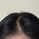 세린헤어 이미지