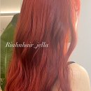 젤라헤어 이미지