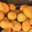 하와이야시장 이미지