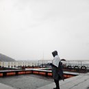 그린좌대낚시터 이미지