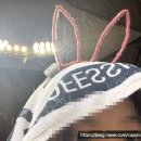 야구 직관 후기｜0523 두산 VS NC, 비와 함께 하는 야구장 낭만