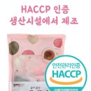 로투킹 투표와 함께하는 평범한 일상