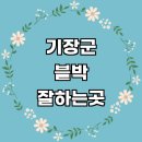 업체 차량용 4채널 룸미러 가성비 오토바이 페달 파인뷰 가격 교체 만도 후기 아이나비 비용 금액 sd카드