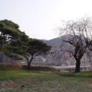 황전북초등학교 이미지