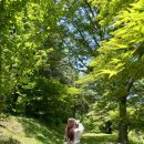 송평로-1 이미지