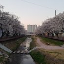 모전천 이미지