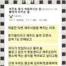 (주)한라육가공 | 22.06.18 제주도 휴가계획 하시는 분들에게 바치는 글 (렌트 / 숙소/ 맛집 )