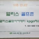 앨리스골프클럽 이미지