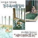 세이워터코히 이미지