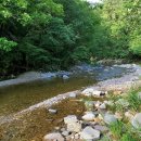 부연농장 이미지