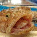 대진항식당 이미지