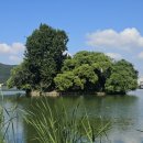 수성유원지(상화동산) 이미지