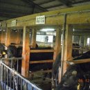 화우농장 이미지