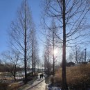 시민문화체육공원 산책로 이미지