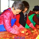 모가면사무소 앞 Daum카페