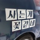 비엔테크 네이버블로그