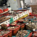 어시장 기업은행 앞 이미지