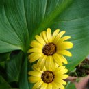 선산대로3-3 이미지