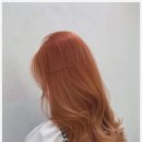 세종미용실 | 새봄헤어 대평점, 솔직히 괜찮았던 세종시미용실 후기