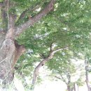 "녹취록 줄줄이 쏟아지잖아!" 김민석 결국 시민들 제보에 덜미? 생각지도 못한 육성 줄줄이 터지자 초토화, 유시민 건드려봤지만 이미 늦 이미지
