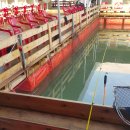 스타바다좌대낚시터 이미지