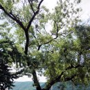 강학2리 이미지