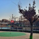 정발산파크골프장 이미지