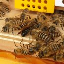 도걸농장 이미지