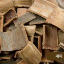 (주)동우당제약 이미지