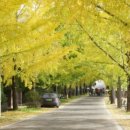 신원면-38 이미지