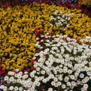 양재주차장 이미지