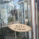 센스 만점 집들이 선물! 주차 편하고 예쁜 '화요일 (化요일)'에서 공기정화식물 몬스테라 화분 득템 후기 🌿