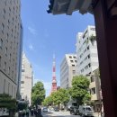 T-Station송정점 | 시바 공원, 도쿄타워, 긴자 로프트, 가마쿠라 : 도쿄 가마쿠라 여행 day2