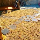 그집이야기펜션 이미지