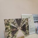 [wedding-2] 경찰공제회 이룸웨딩컨벤션 후기