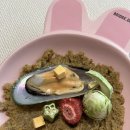 노견 강아지 습식사료 추천 조공 필로독 칠면조 급여 후기 캔습식