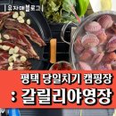 평택 갈릴리캠핑장 당일치기