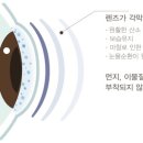 눈편한안경콘택트 이미지