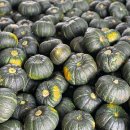 🎃 제주 미니단호박, 이렇게 맛있고 몸에 좋은 거였어?! 효능부터 레시피까지 총정리