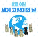 부천준동물병원 이미지