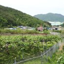 적덕농장 이미지